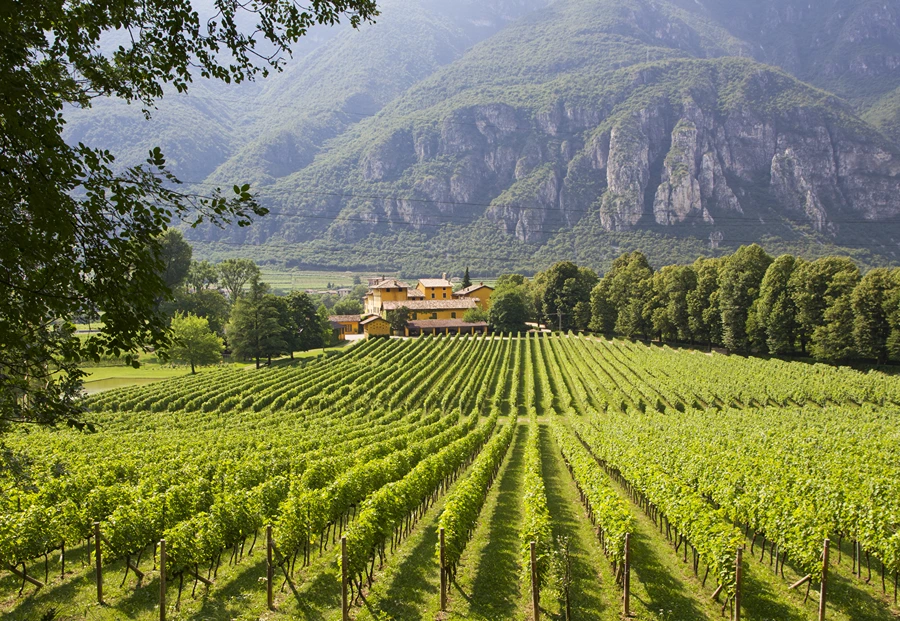 Muri-Gries - Alto Adige DOC