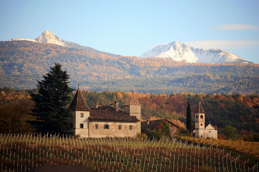 Tiefenbrunner - Alto Adige DOC