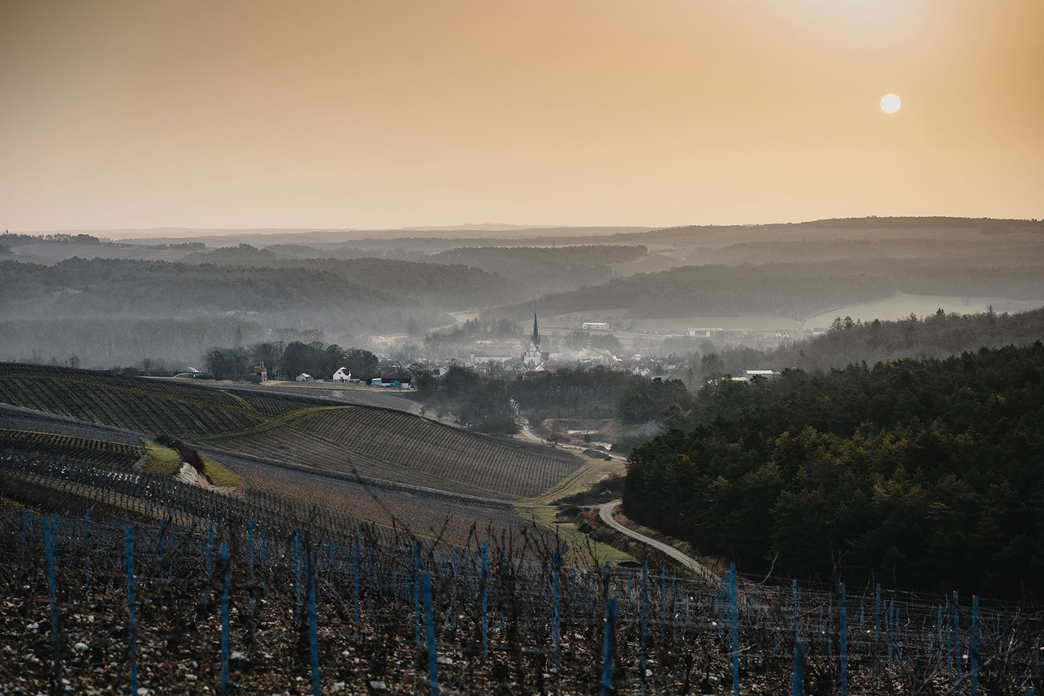 Domaine Alexandre Bonnet