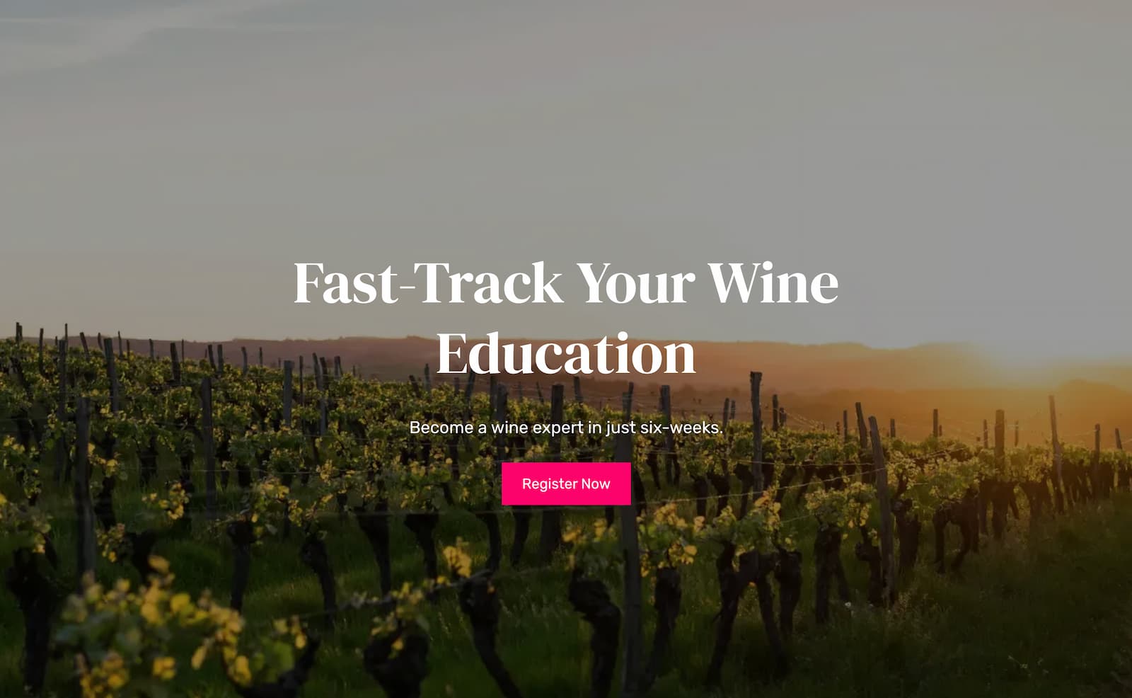 Fast-Track Your Wine Education