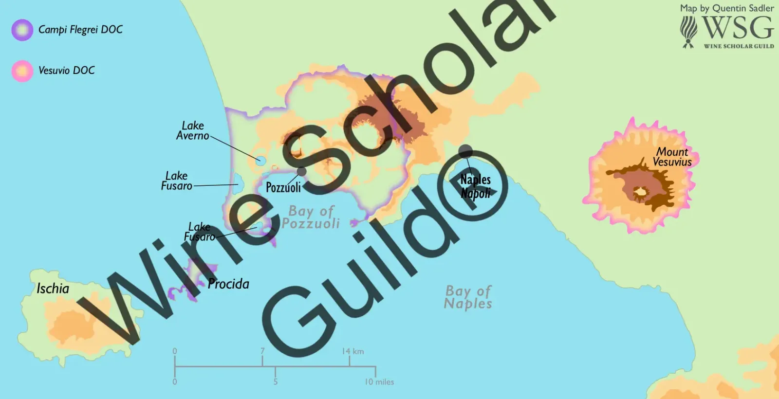 Campi Flegrei & Vesuvius Wine Map by Wine Scholar Guild Campi Flegrei & Vesuvius Wine Map by Wine Scholar Guild