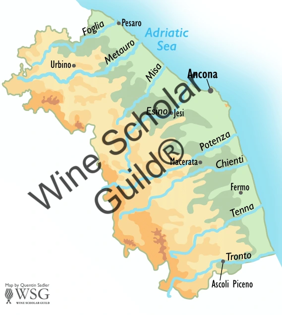 Marche Rivers Wine Map by Wine Scholar Guild Marche Rivers Wine Map by Wine Scholar Guild