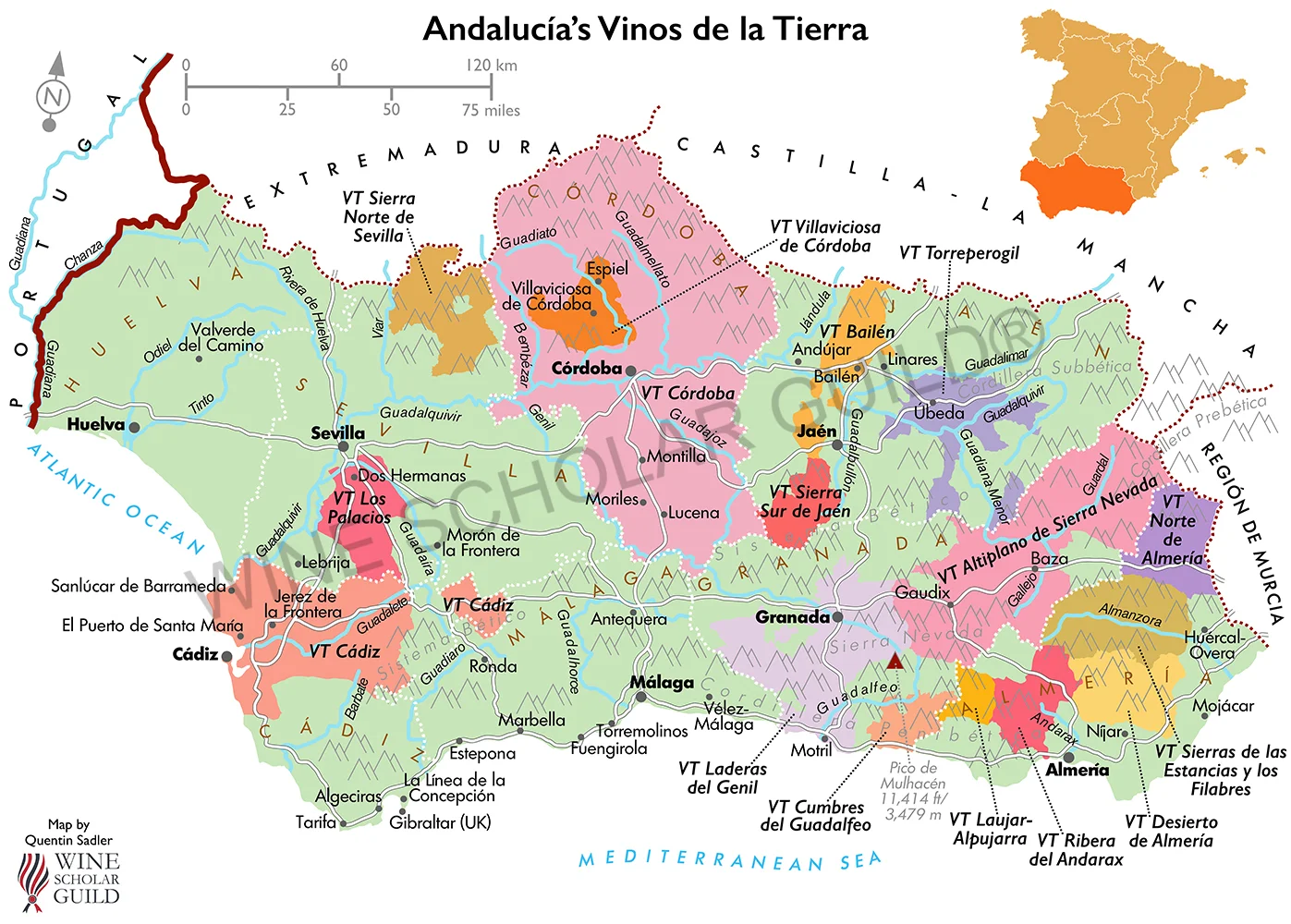 Andalucia Wine Map (PGIs) by Wine Scholar Guild Andalucía wine map highlighting vineyards and PGI zones across Cádiz, Córdoba, Málaga, Granada, and Seville.