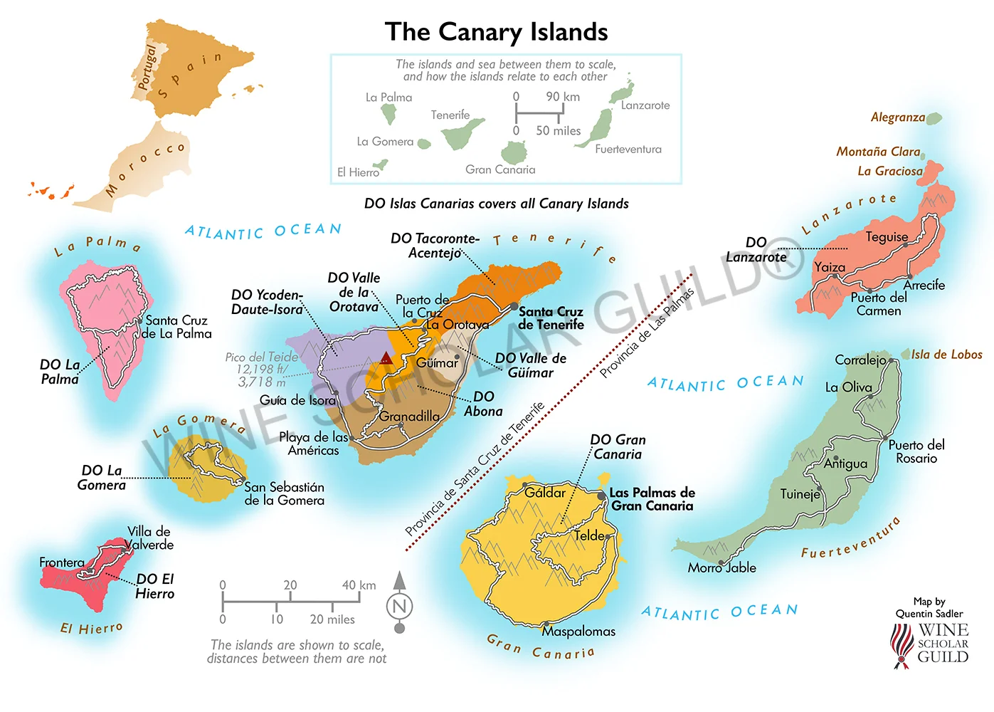 Canary Islands wine map highlighting volcanic vineyards and DO appellations including Lanzarote, Tenerife (Tacoronte-Acentejo), and Gran Canaria.