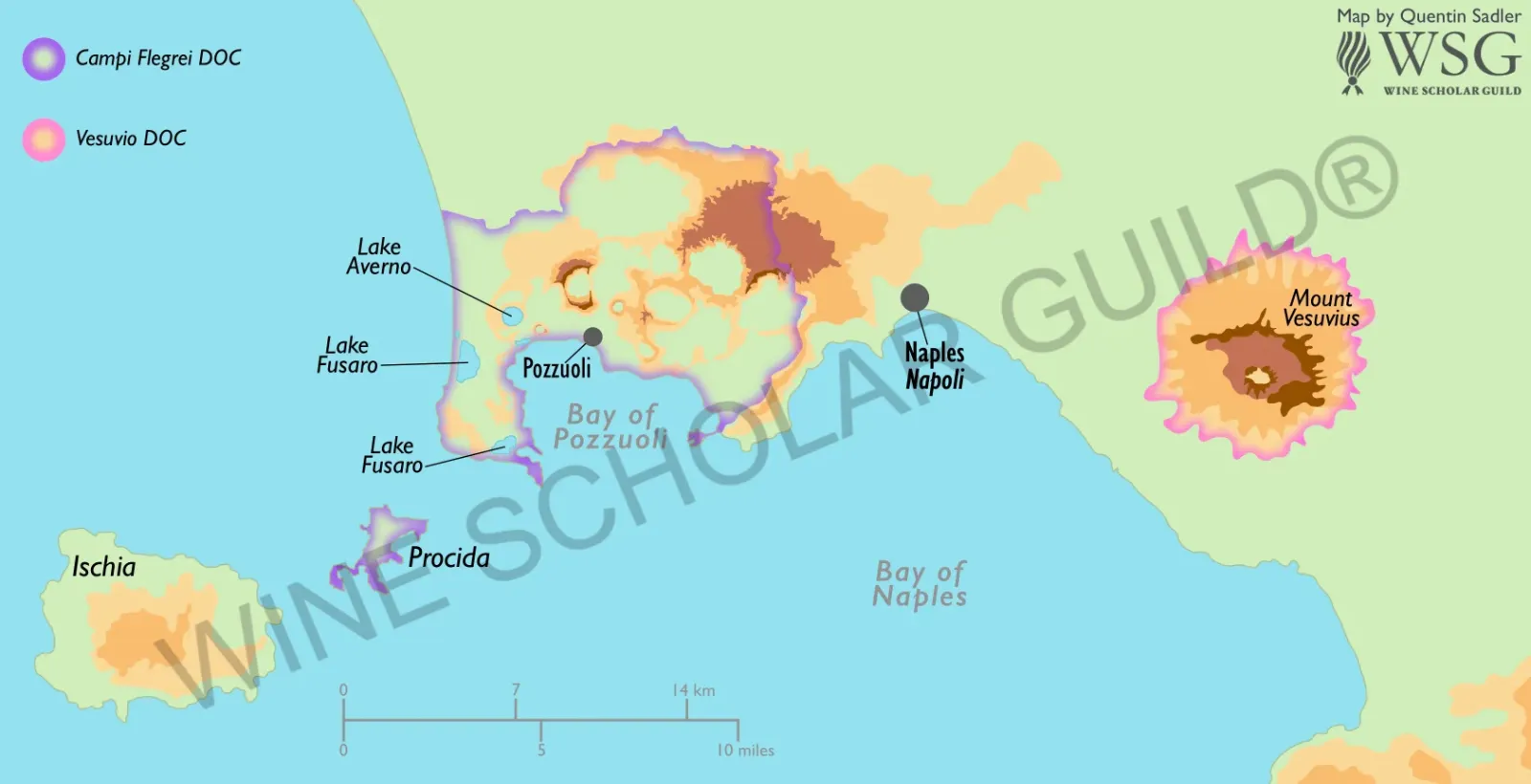 Campi Flegrei and Vesuvius wine map highlighting vineyards producing Piedirosso, Falanghina, and Lacryma Christi wines.