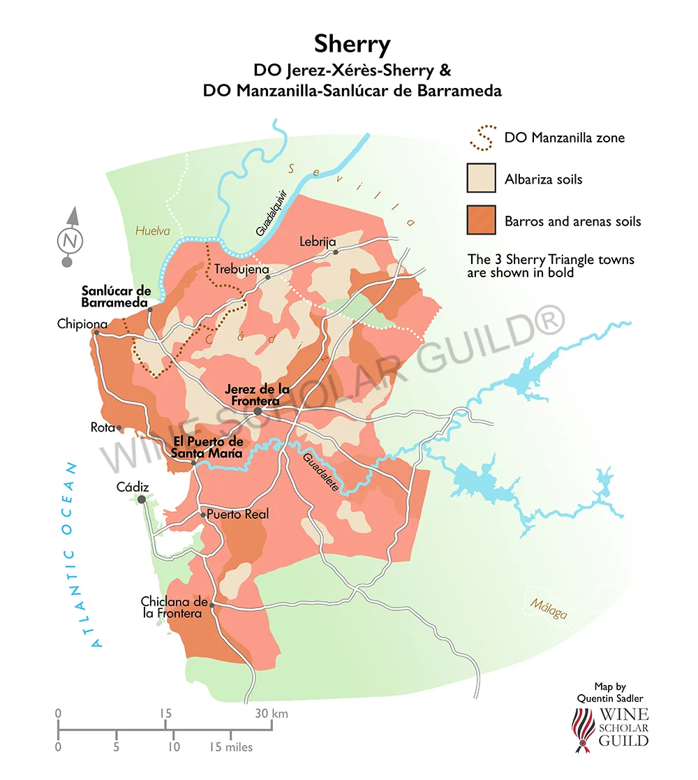 Sherry wine map showing vineyards and production zones for Jerez-Xérès-Sherry, Manzanilla Sanlúcar de Barrameda, and related PDOs.