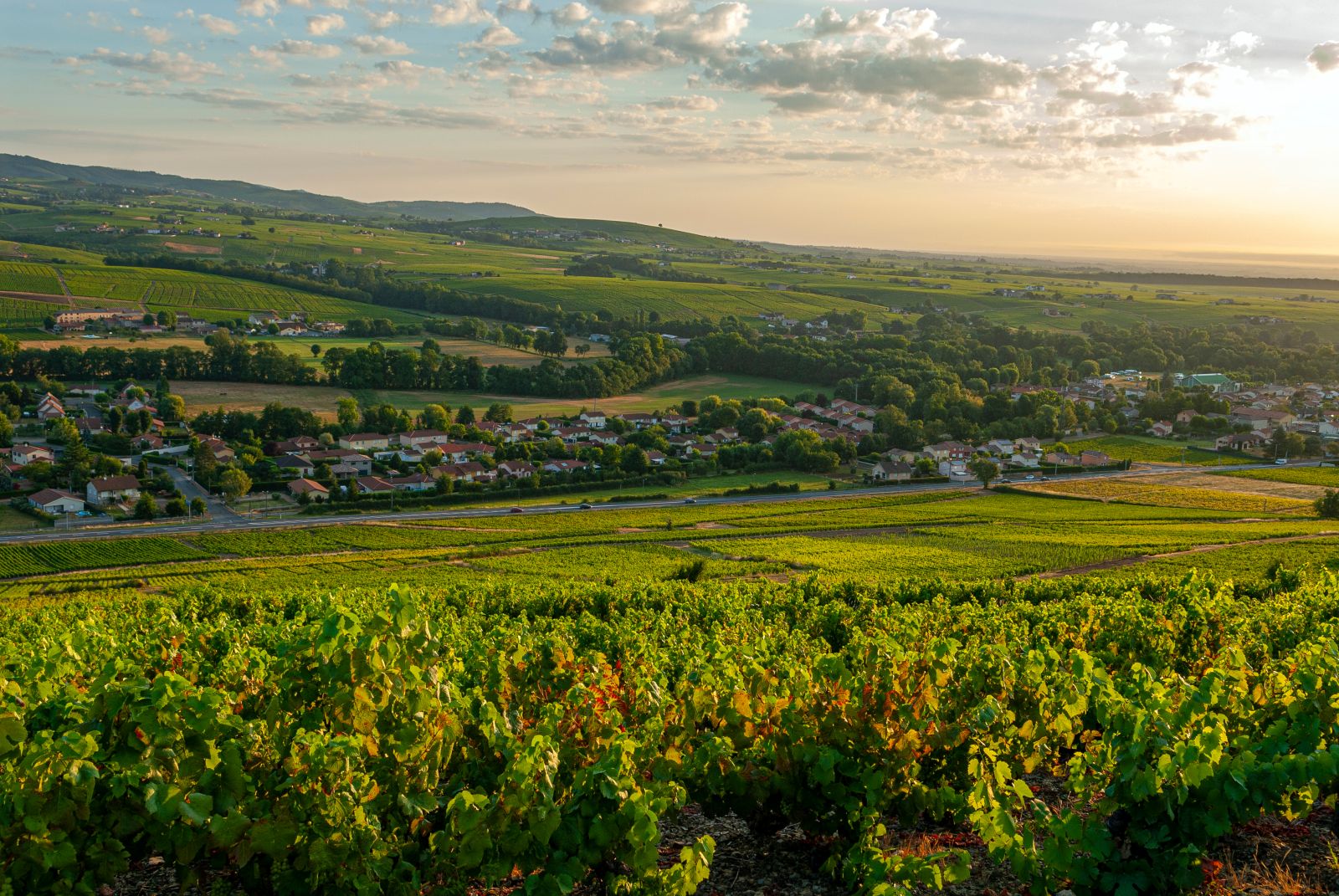 Domaine de la Grosse Pierre