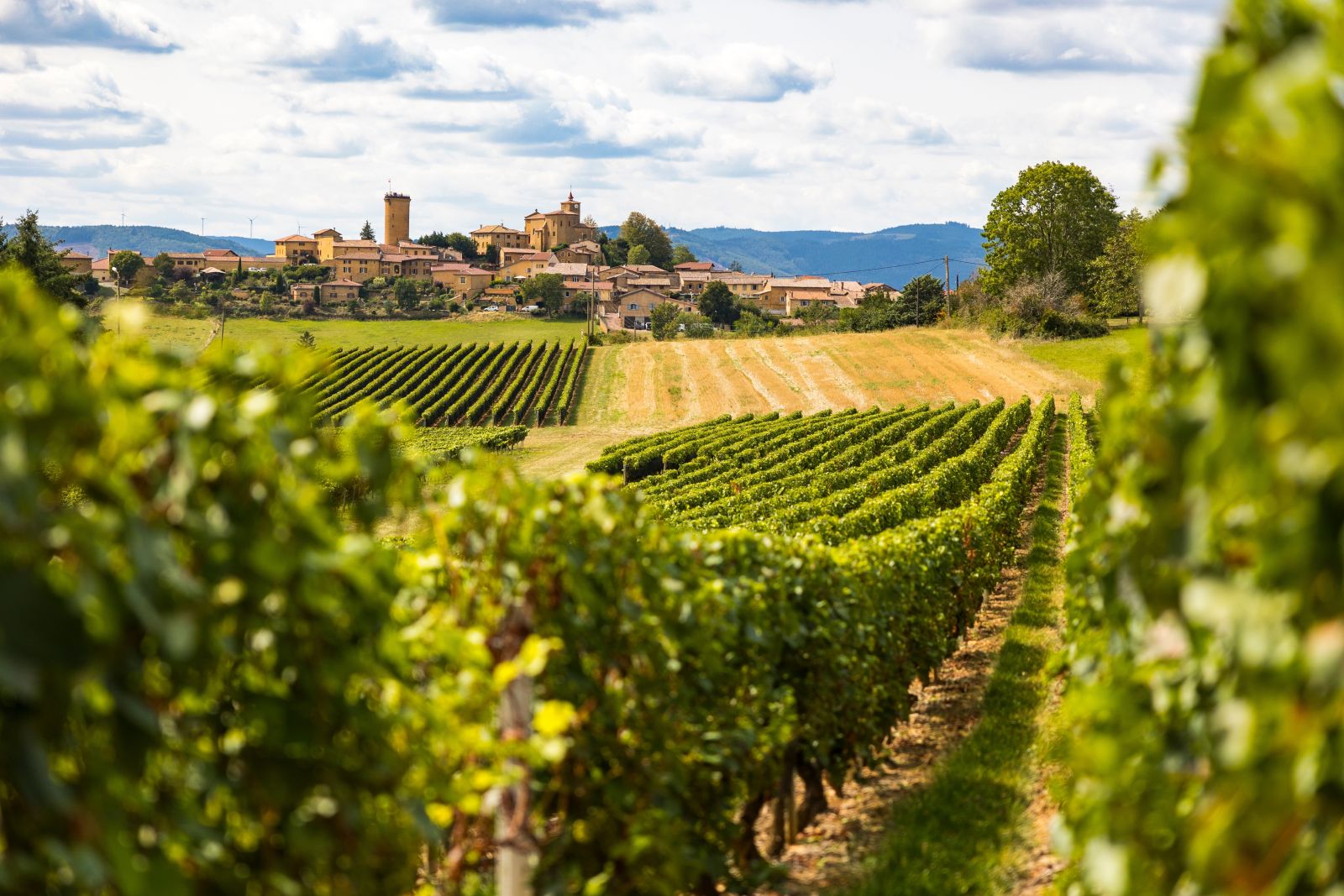 Domaine Jean Foillard