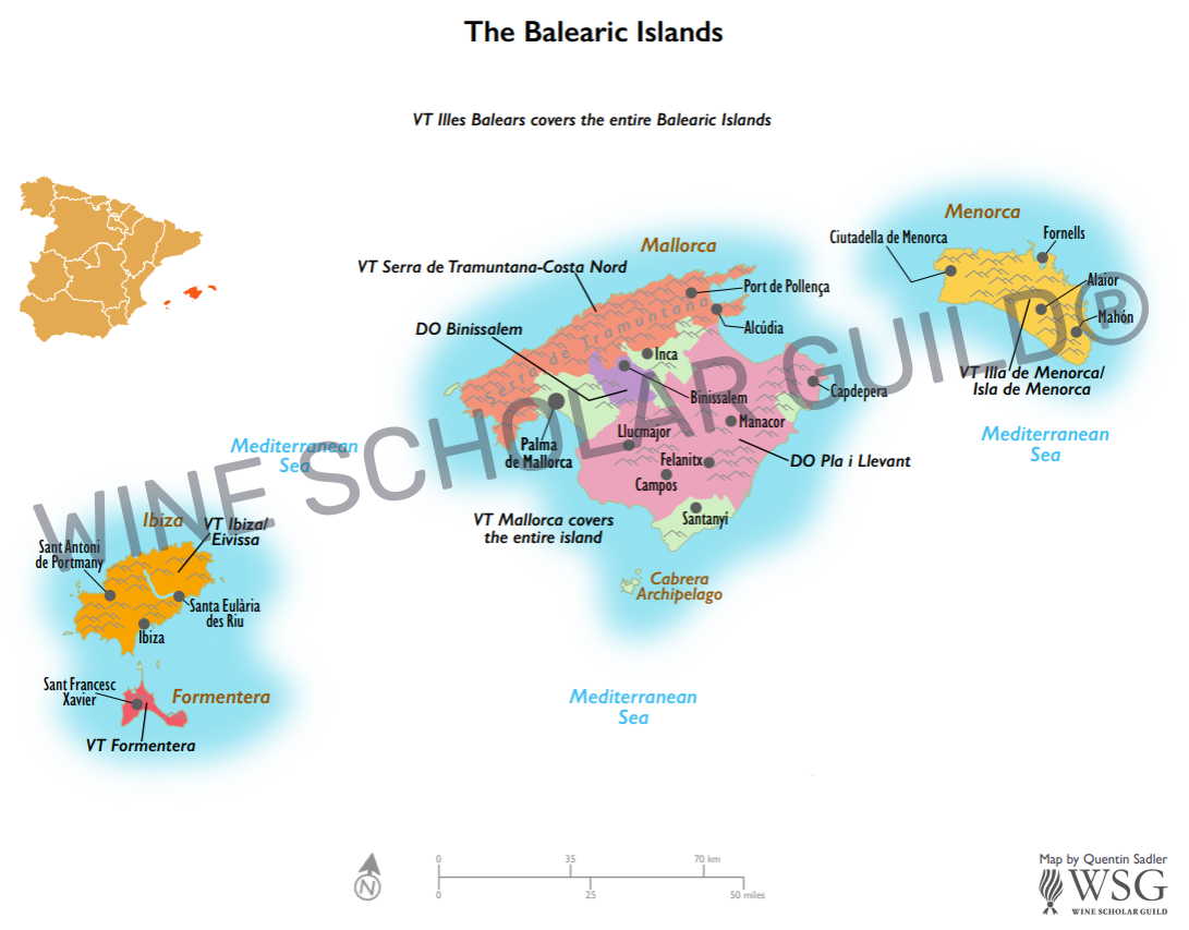 Balearic Islands wine map showing vineyards and DO appellations including Binissalem and Pla i Llevant in Mallorca.