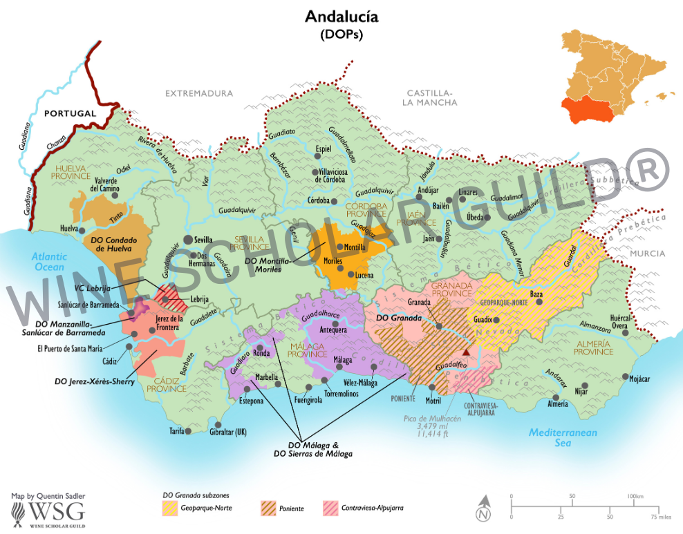 Andalucía wine map showing PDO appellations including Jerez-Xérès-Sherry, Montilla-Moriles, Málaga and Sierras de Málaga.