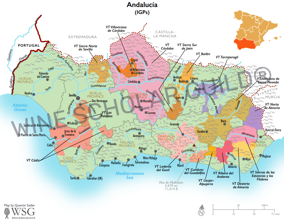 Andalucia Wine Map (PGIs) by Wine Scholar Guild Andalucía wine map highlighting vineyards and PGI zones across Cádiz, Córdoba, Málaga, Granada and Seville.
