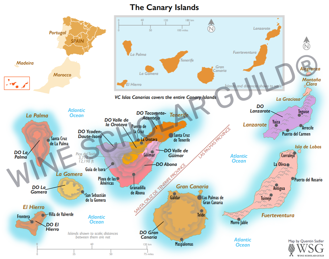 Canary Islands wine map highlighting volcanic vineyards and DO appellations including Lanzarote, Tenerife (Tacoronte-Acentejo) and Gran Canaria.