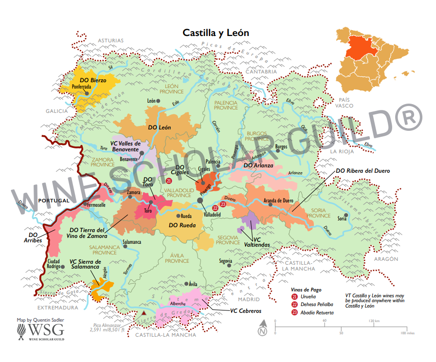 Castilla y Leon Wine Map by Wine Scholar Guild Castilla y León wine map highlighting vineyards and appellations such as Ribera del Duero, Rueda, Toro and Bierzo.
