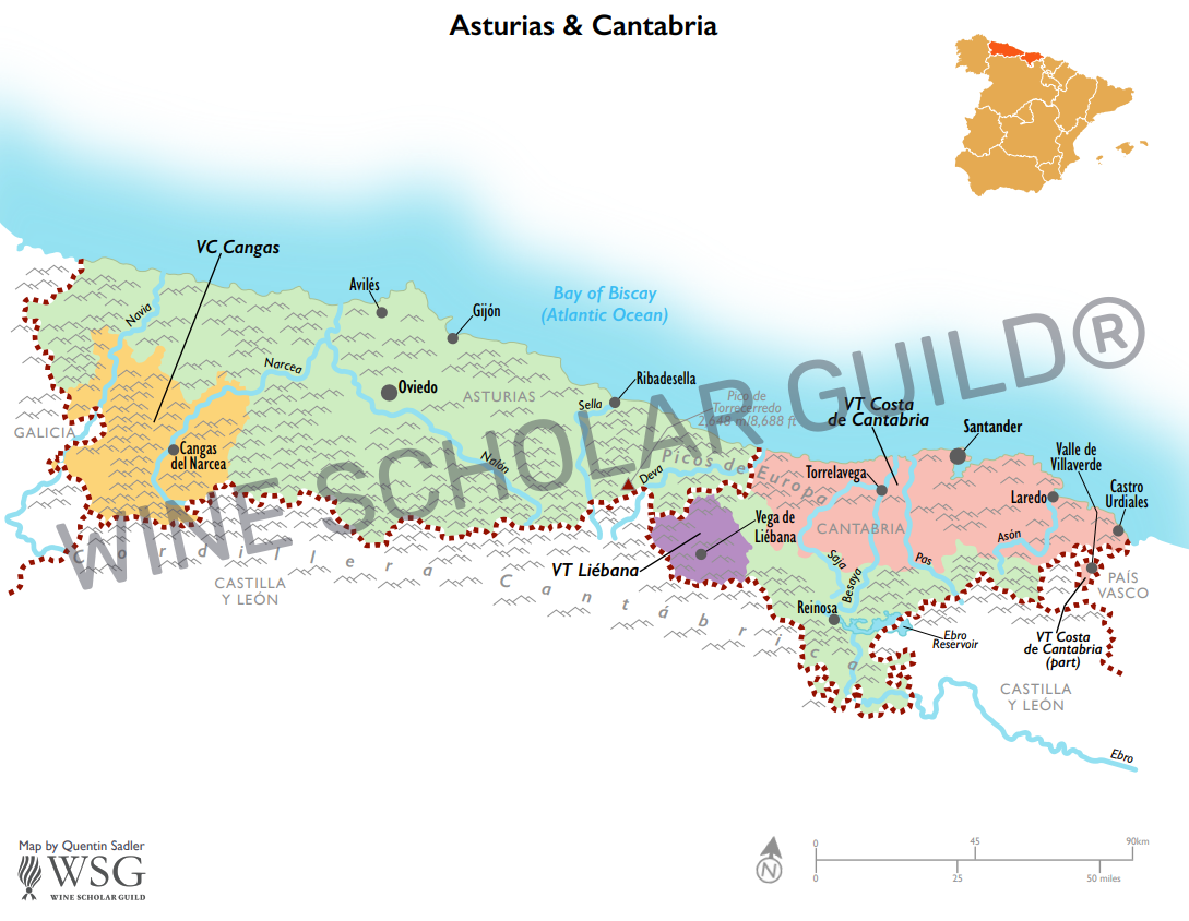 Ribera del Duero wine map highlighting vineyards, wineries, and DO zones across Valladolid, Burgos, Soria, and Segovia.