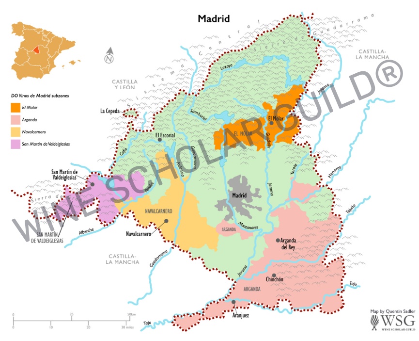 Meseta wine map showing vineyards and DO appellations including La Mancha, Valdepeñas, Almansa, Ribera del Guadiana, and Vinos de Madrid.