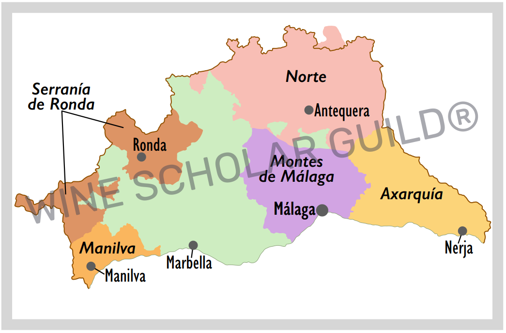 Ribera del Duero wine map highlighting vineyards, wineries, and DO zones across Valladolid, Burgos, Soria, and Segovia.