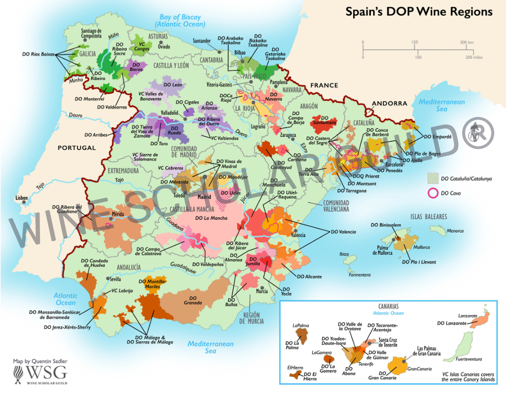 Spain wine regions map highlighting vineyards, DO/DOCa appellations, and key wine areas including Rioja, Ribera del Duero, Priorat, Rías Baixas, and Jerez.