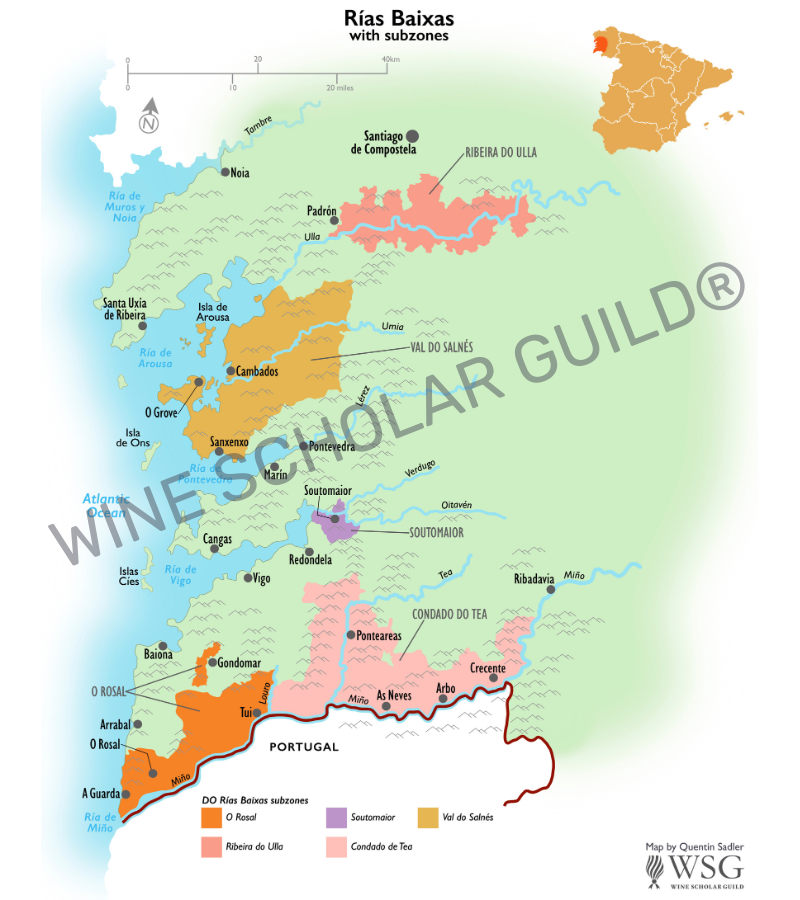 Ribera del Duero wine map highlighting vineyards, wineries, and DO zones across Valladolid, Burgos, Soria, and Segovia.