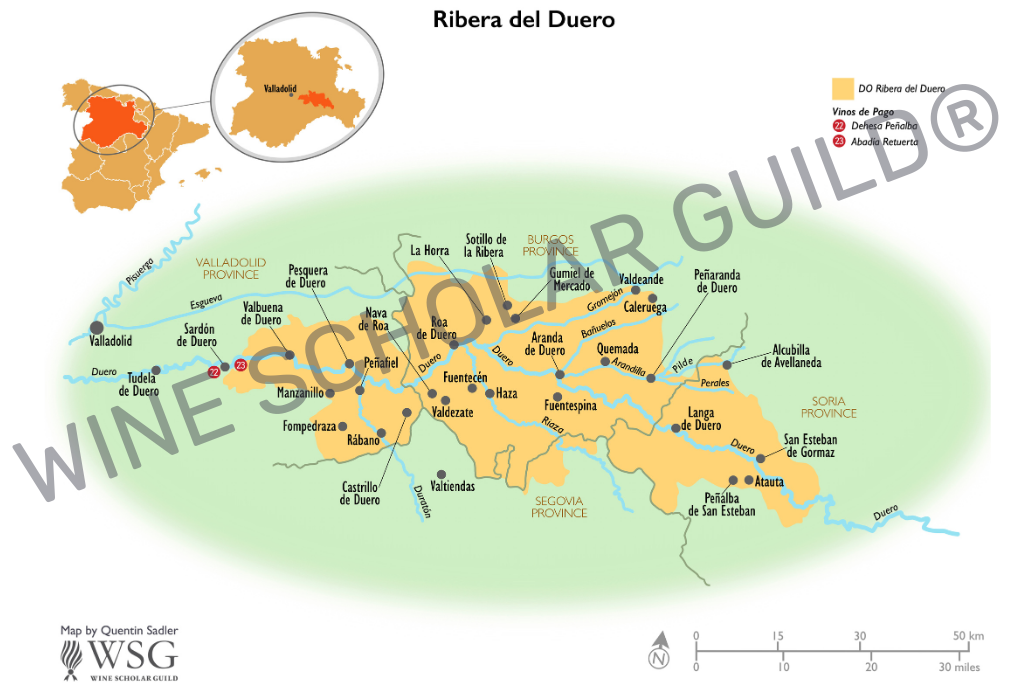 Ribera del Duero wine map highlighting vineyards, wineries and DO zones across Valladolid, Burgos, Soria and Segovia.