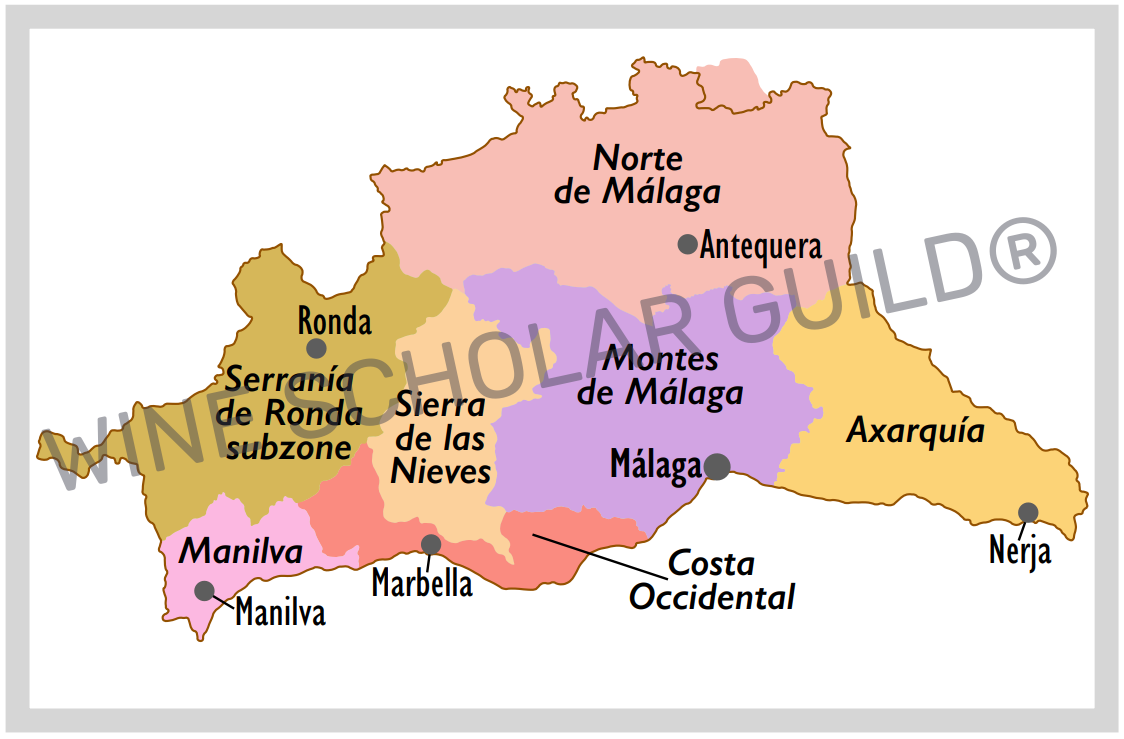 Ribera del Duero wine map highlighting vineyards, wineries, and DO zones across Valladolid, Burgos, Soria, and Segovia.