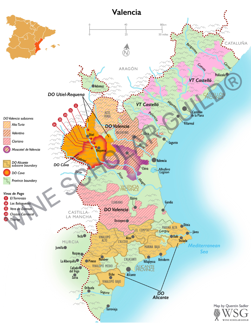Ribera del Duero wine map highlighting vineyards, wineries, and DO zones across Valladolid, Burgos, Soria, and Segovia.