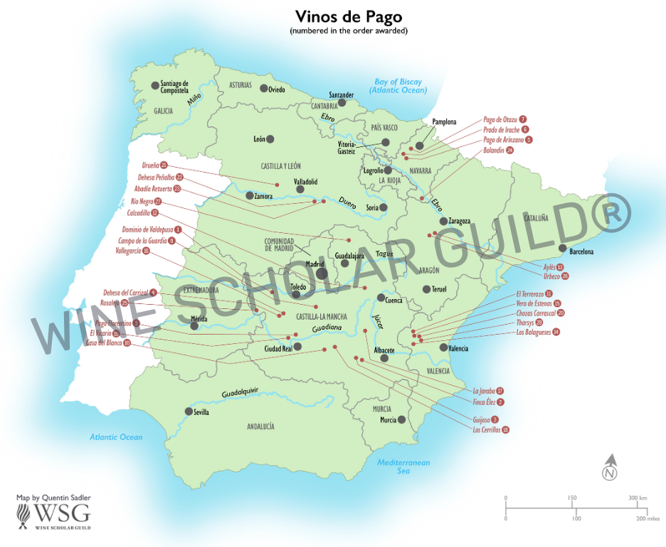 Spain wine regions map highlighting vineyards, DO/DOCa appellations, and key wine areas including Rioja, Ribera del Duero, Priorat, Rías Baixas, and Jerez.