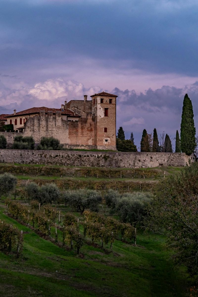 Castello di Vicchiomaggio 