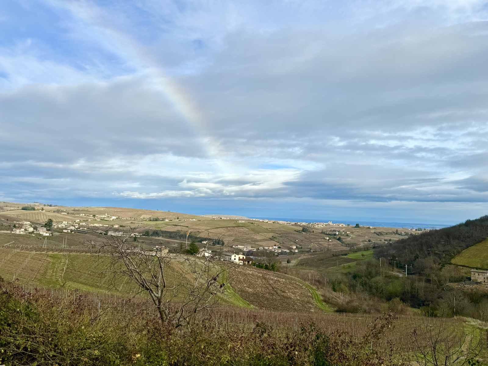 A rainbow over Beaujolais vineyards Rainbow over Beaujolais vineyards highlighting the rolling hills and vines