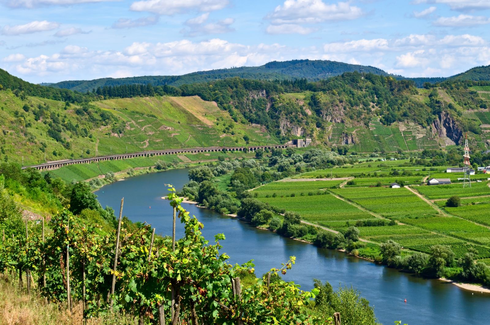 Steep slate vineyard of Erdener Prälat in the Mosel, showcasing terraced slopes along the river where Riesling vines thrive.