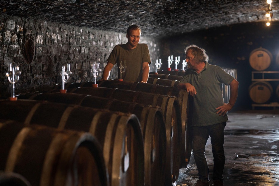 Two people standing in a vineyard surrounded by wooden wine barrels, discussing winemaking in an outdoor setting.