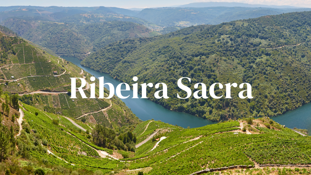 Ribeira Sacra: Heroic Viticulture from the Slopes of Galicia
