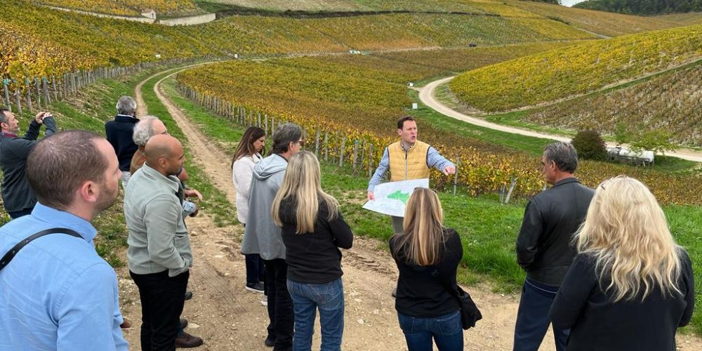 Wine Scholar Guild study tour participants tasting wines in a vineyard with a local winemaker during an educational visit.