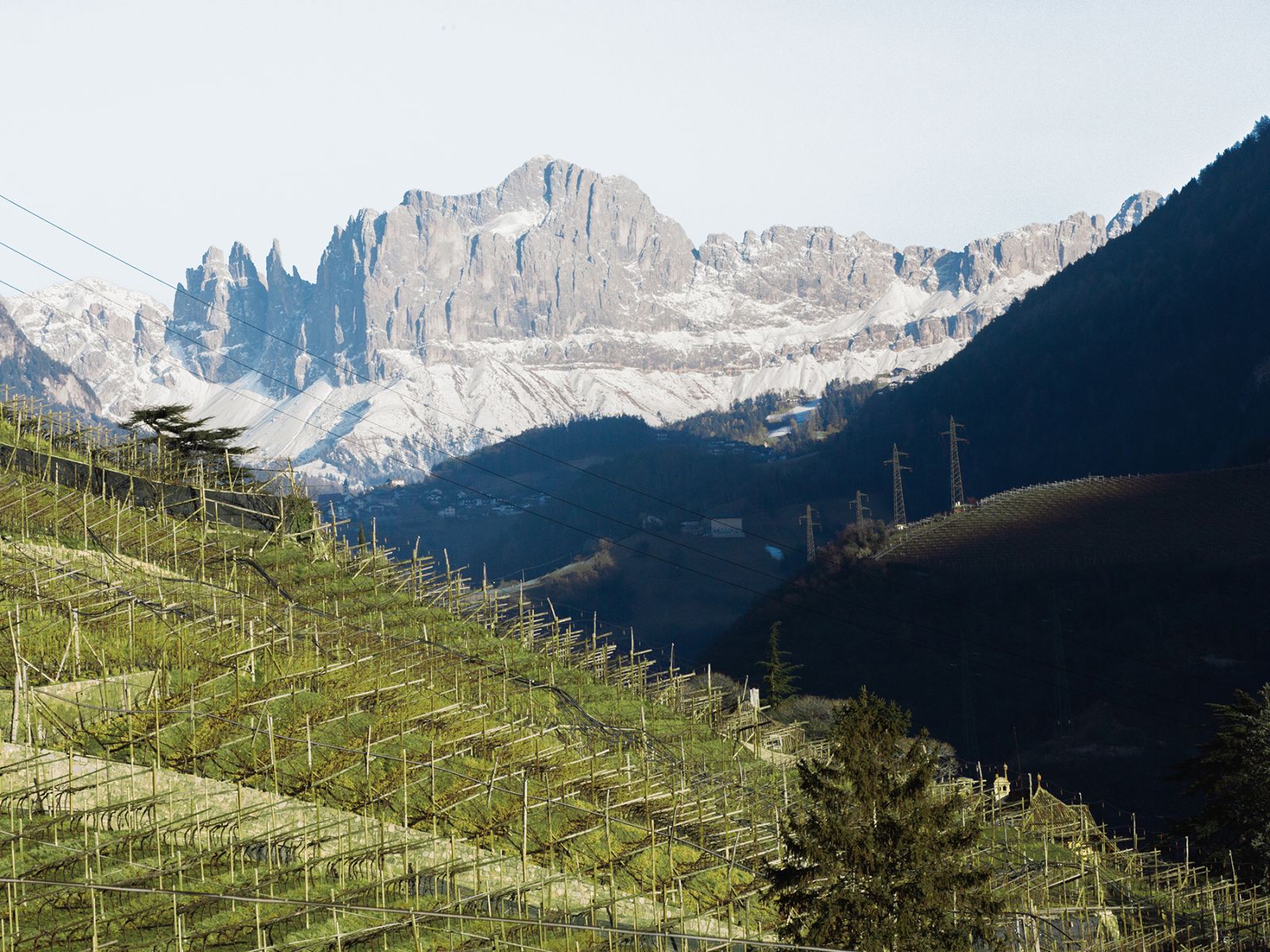 Dolomites, Alto Adige. Alois Lageder