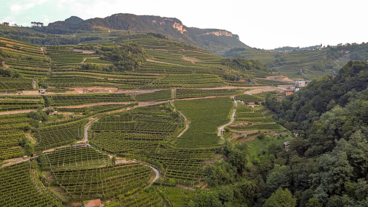Valle di Cembra, Trentino. Moser Trento