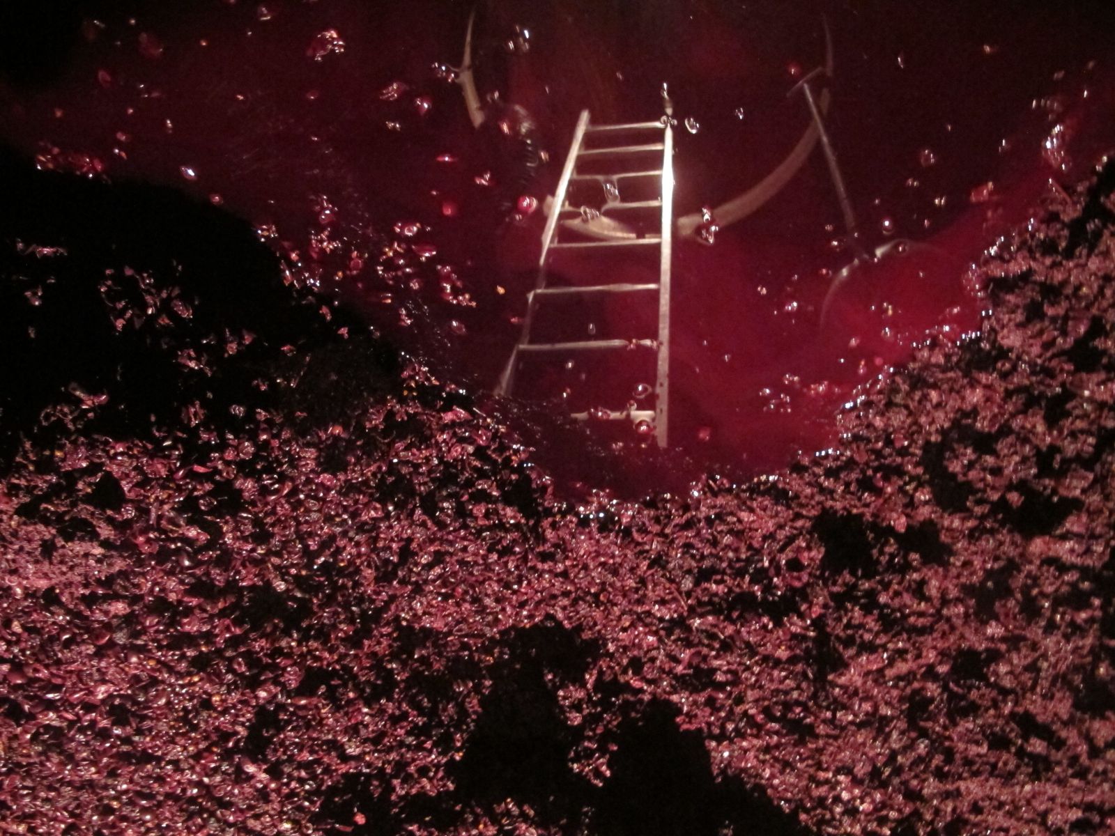 Tank of red Châteauneuf. 