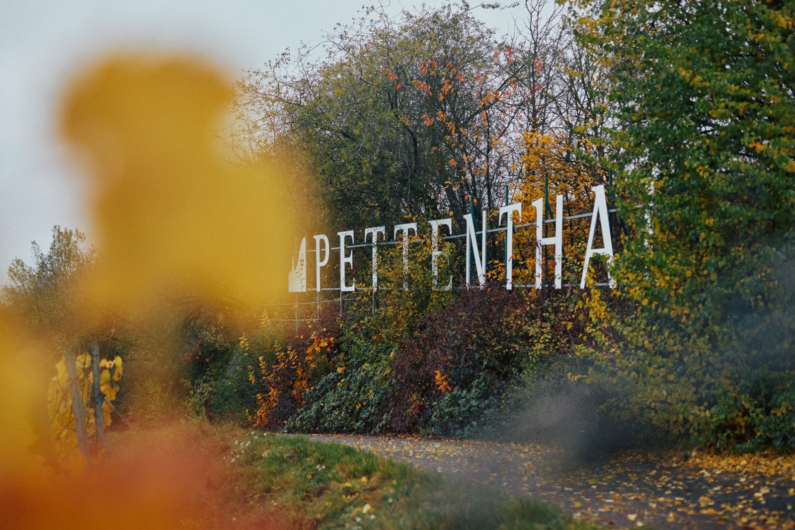 Pettenthal Grosse Lage