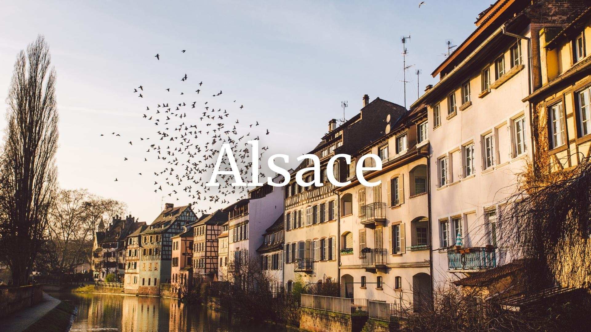 Alsace Wine Who's Who with Thierry Meyer