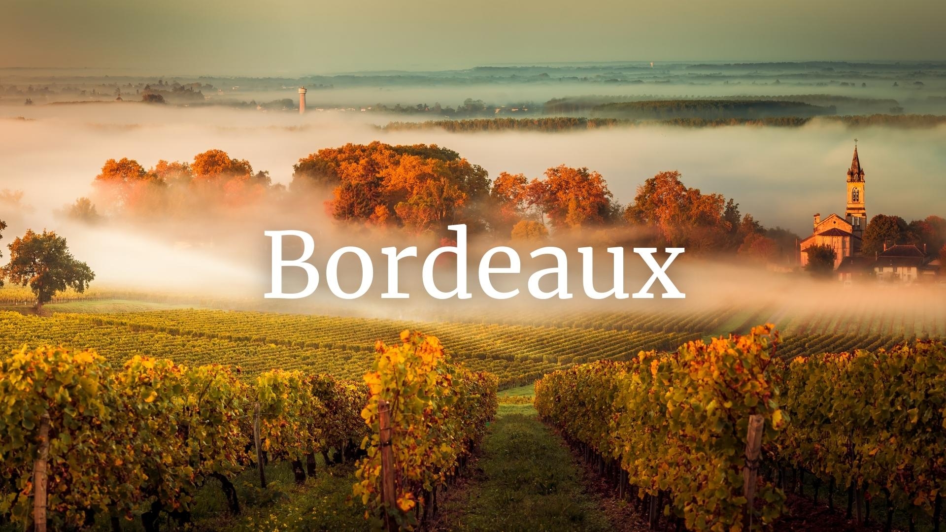 Bordeaux Who's Who with Fanny Darrieussecq