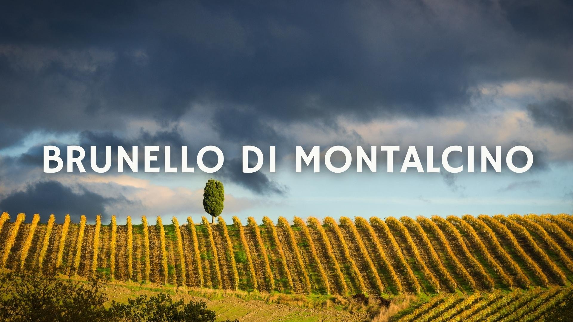 Explore the origins of Italy’s first ever DOCG, Brunello Di Montalcino with Mario Cagnetta