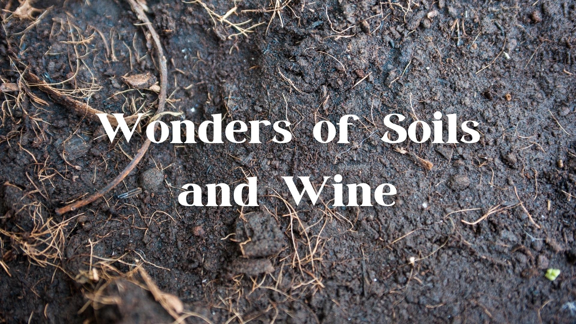 Wonders of Soil and Wine - Wine Geology Q&A with Alex Maltman