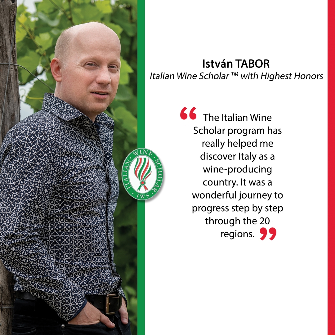 István Tábor, IWS