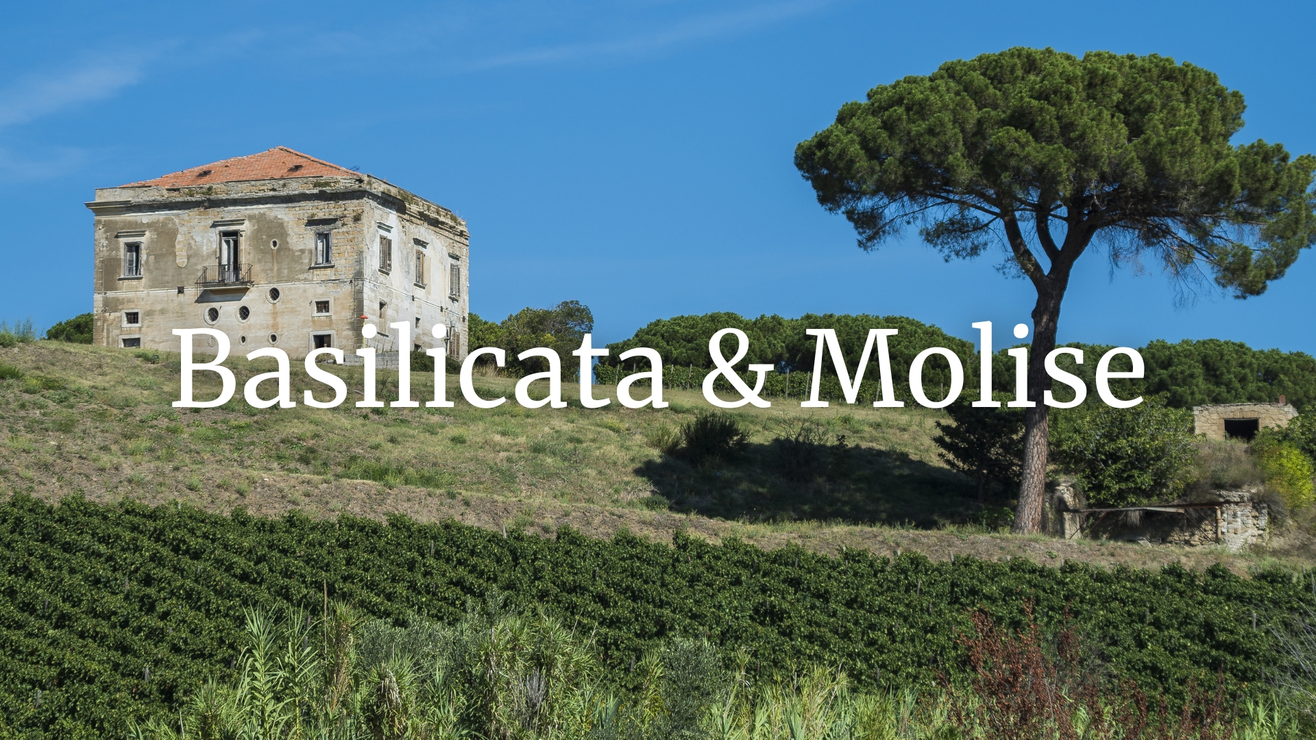 Let's Tour Italy's Lesser Known Regions: Basilicata and Molise with Susannah Gold