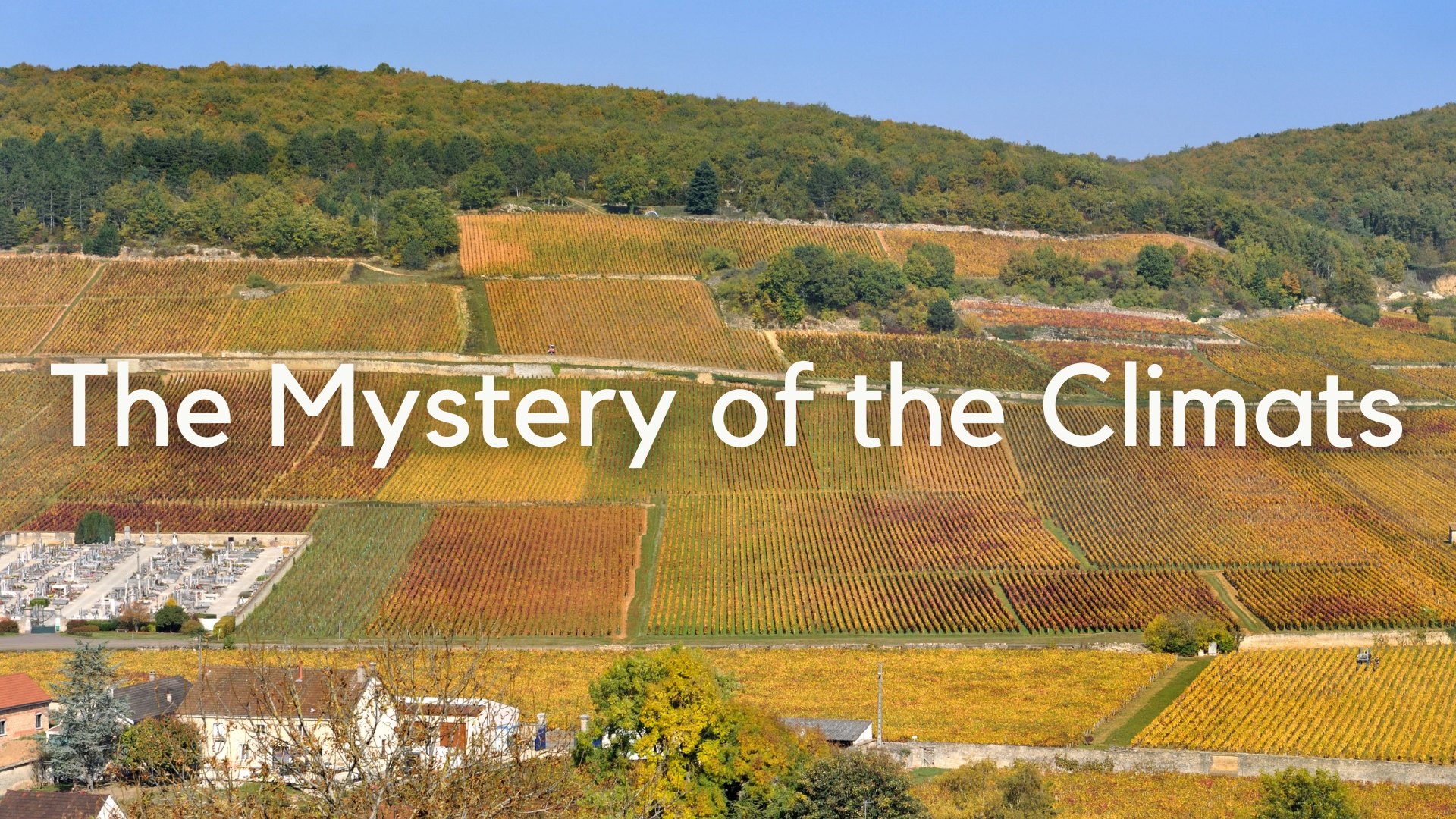 The Mystery of the Climats: History, Evolution & Name Origins of Bourgogne's Greatest Vineyards with Tanya Morning Star