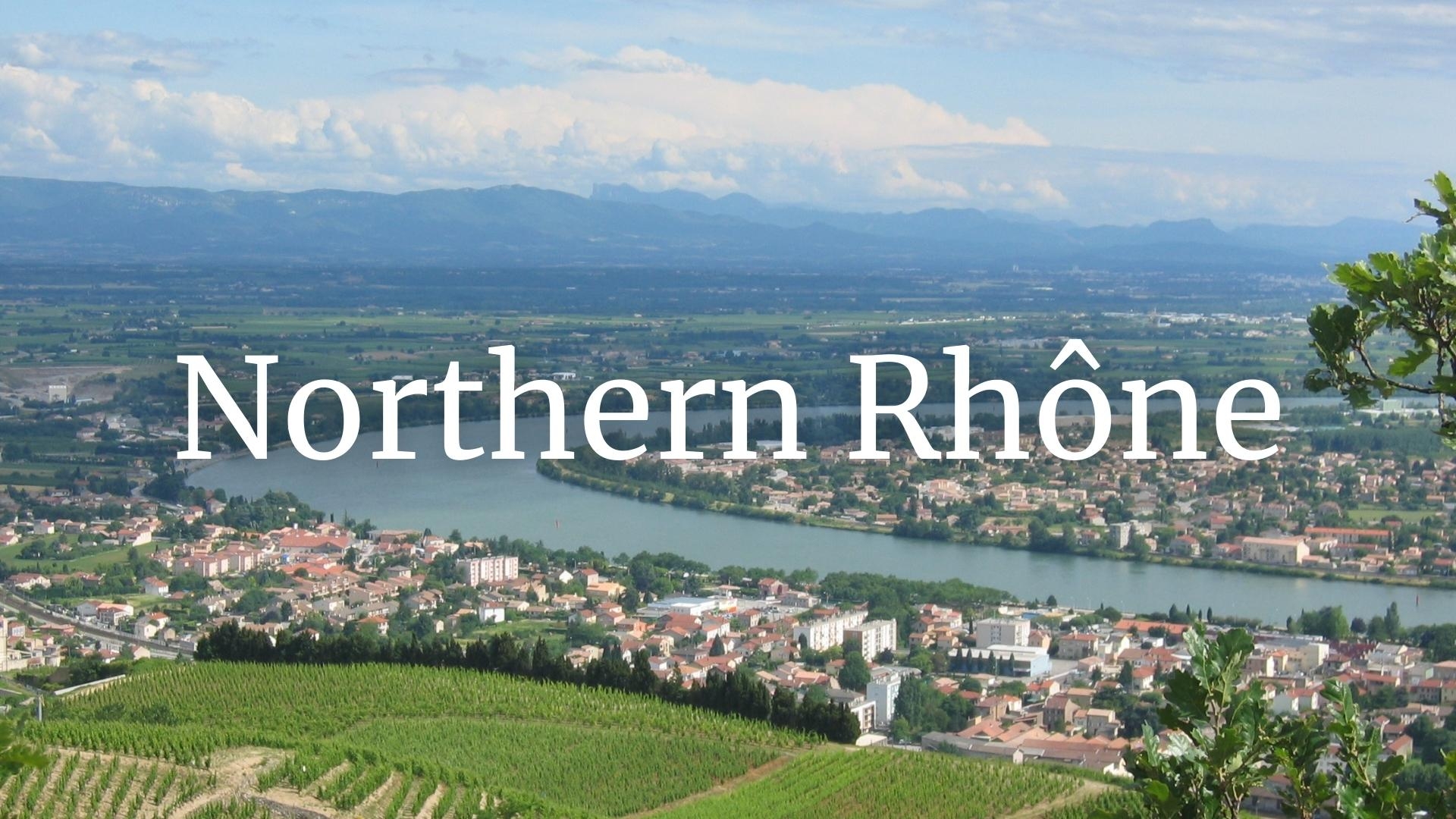 Northern Rhône Wine Who's Who with Olivier Hickman