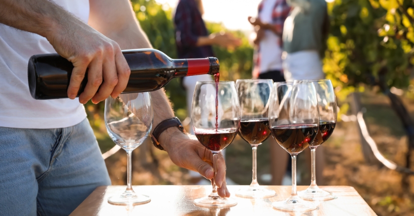 The Ten Best Italian Red Wines: A Beginner’s Guide