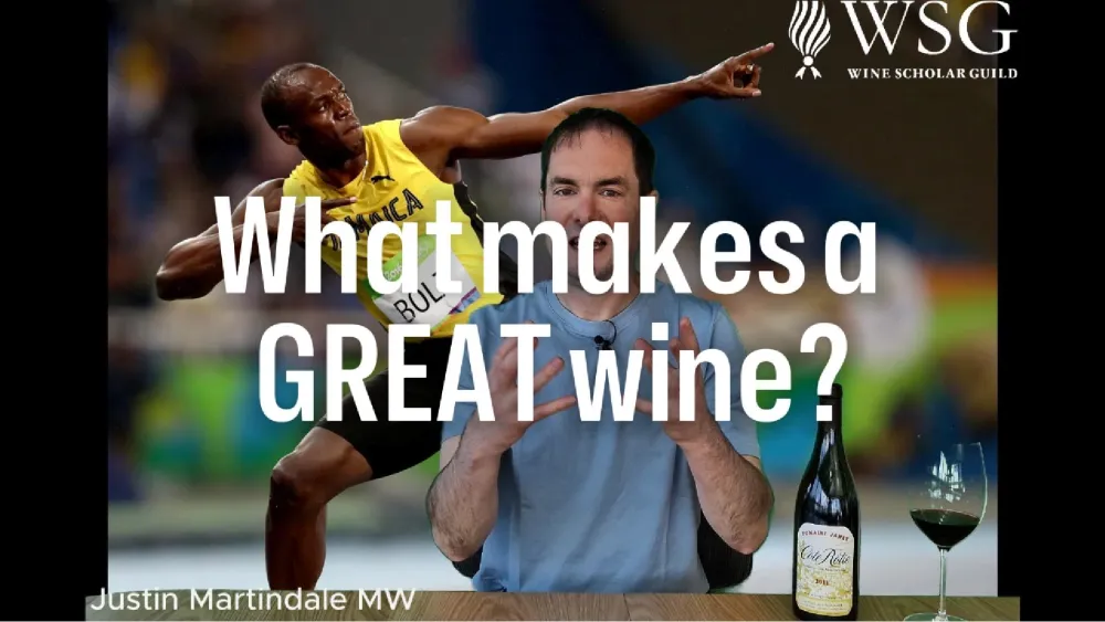 Tasting Room: What Makes a Great Wine?