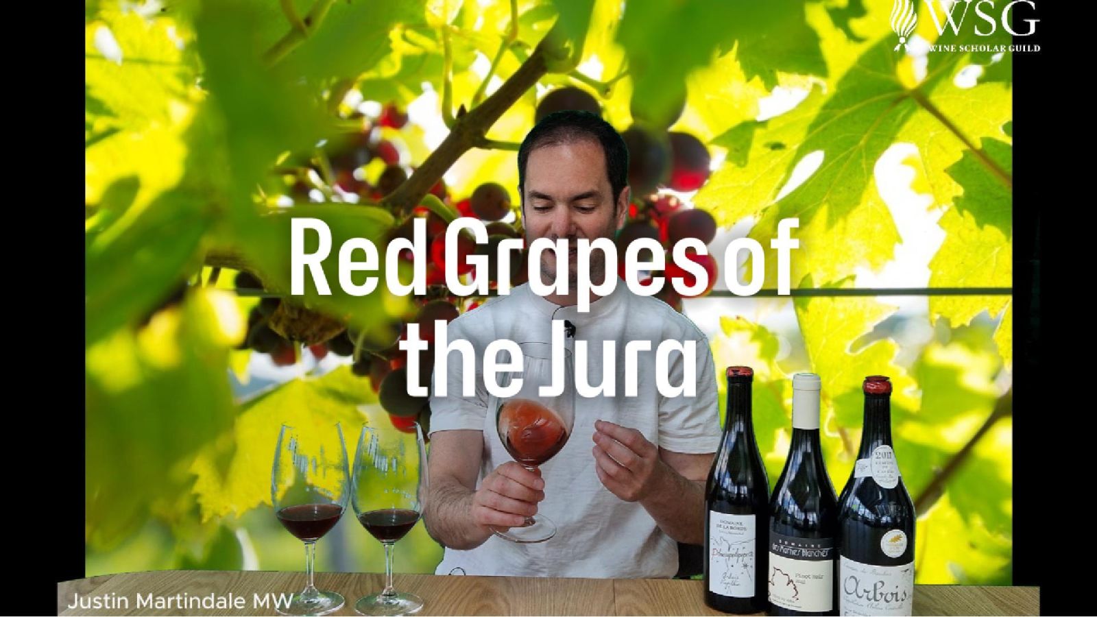 Tasting Room: Red Grapes of the Jura