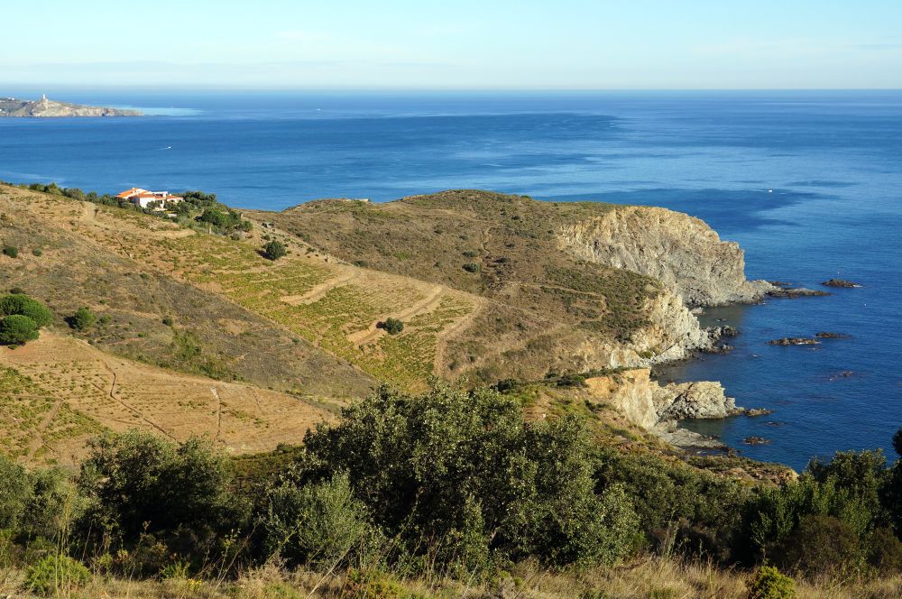 Roussillon