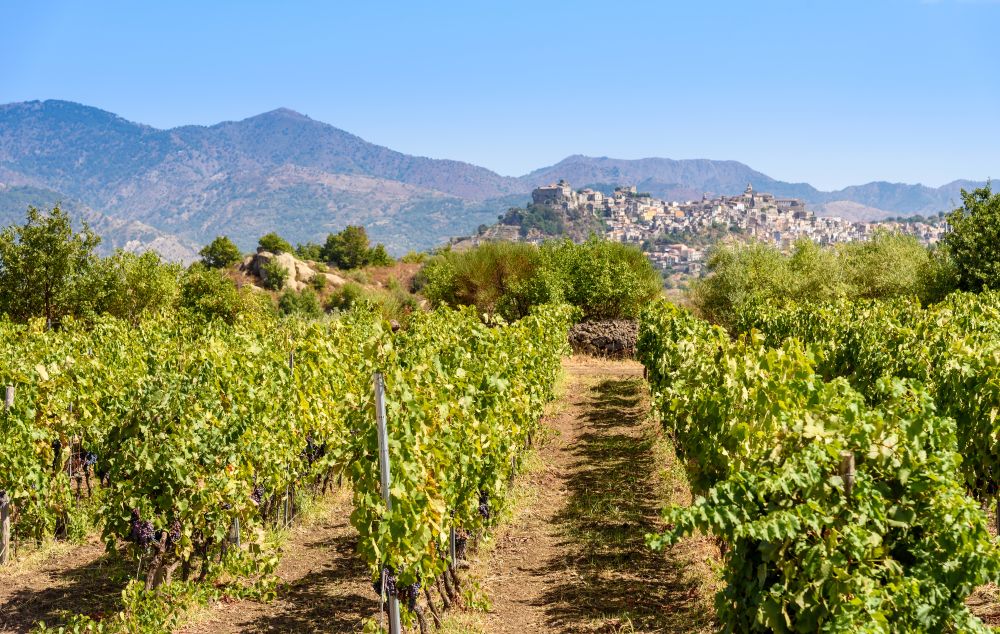 Sicily