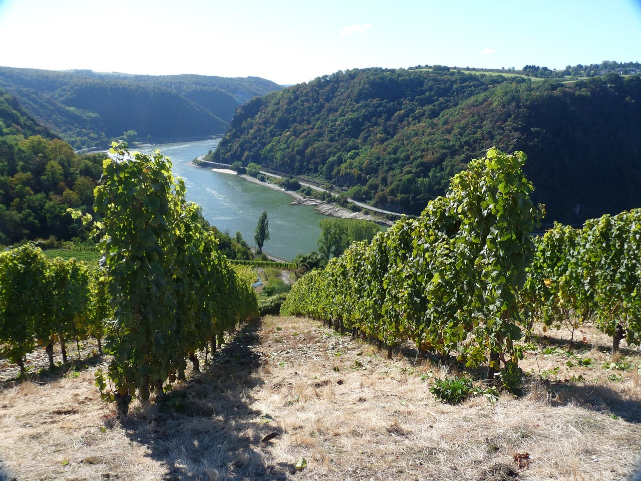 Rheingau